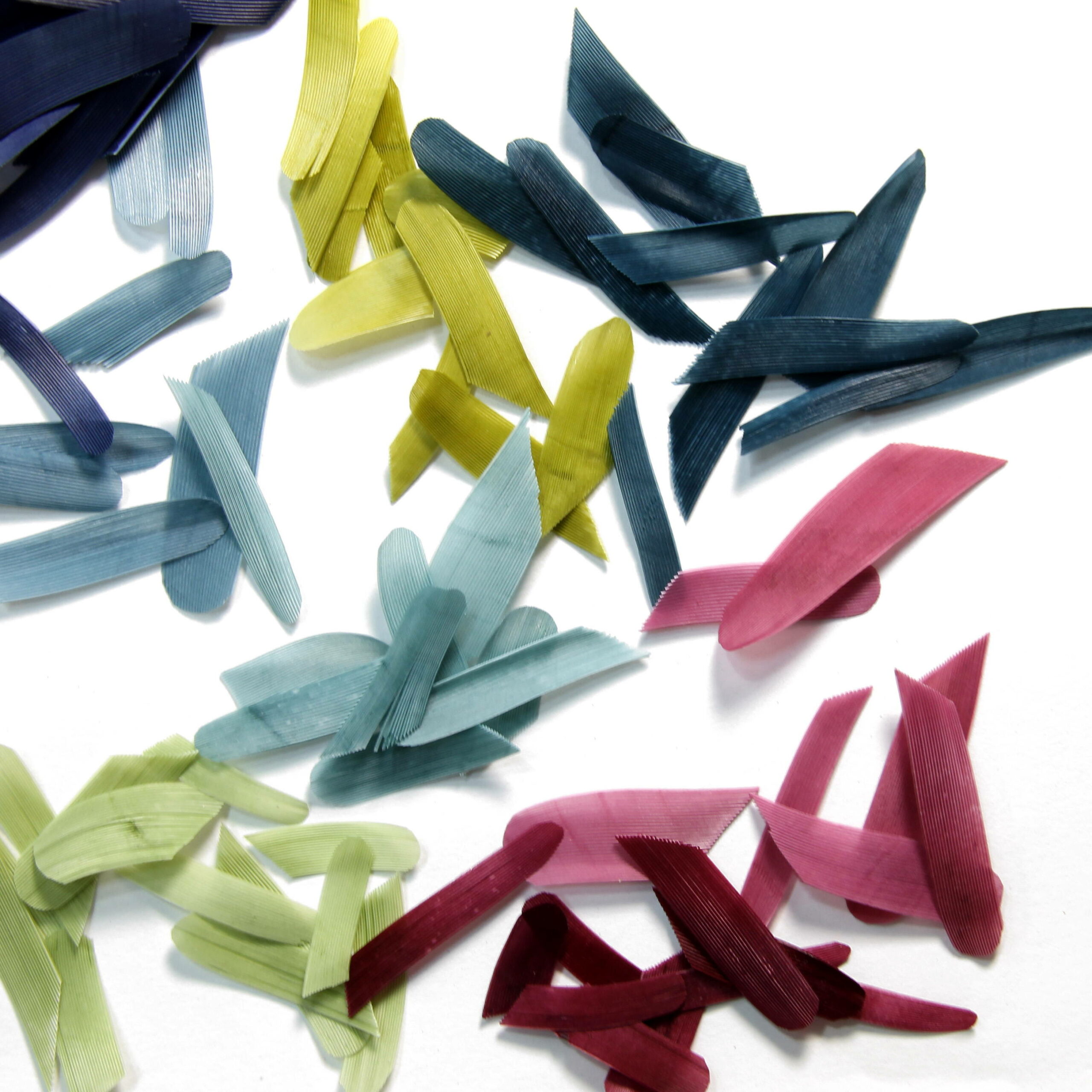 Coloration - Coloring by dyeing - Invenio Flory