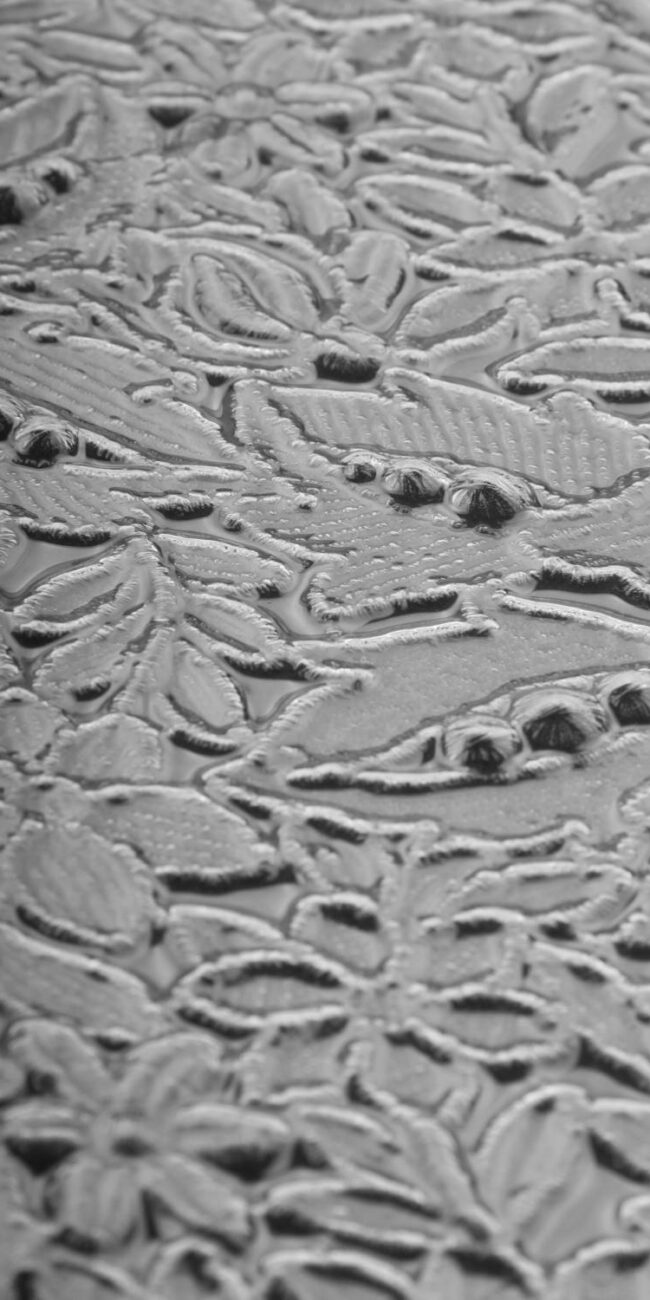 Textile Memory - Transparent guipure memory - Invenio Flory