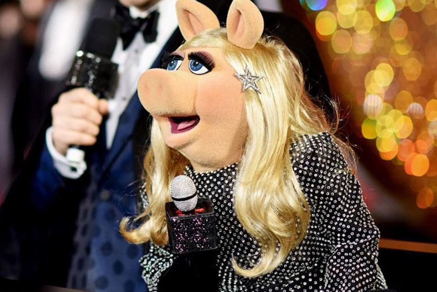 Invenio Flory - Miss Piggy - Saint Laurent - 2017