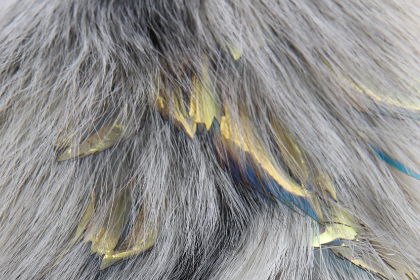 Invenio Flory - From Feather to Fur - 2019 - Art